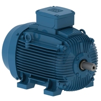 Moteur asynchrone triphasé WEG 220KW 300HP W20/W21/W22 50/60Hz IE2/IE3/IE4, efficacité IE2/IE3/IE4, 3000 tr/min, 220V/380V/400V/415V/460V