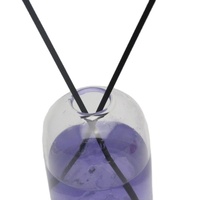 Nouvel Arrivage Bouteille en Verre Diffuseur d'Huiles Essentielles Unique en Borosilicate de Haute Qualité, Scellée au Liège, Décalcomanie Imprimée, Vente en Gros 300ml