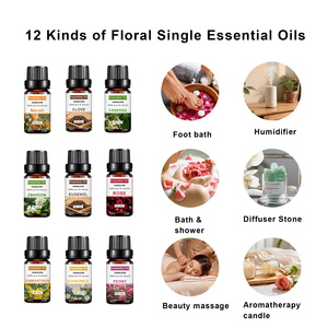 Vente en gros <span class=keywords><strong>d</strong></span>'huiles essentielles 100% pures, naturelles, lavande, menthe poivrée, géranium, citron vert, rose et bergamote, collection <span class=keywords><strong>d</strong></span>'aromathérapie - Product Image 3