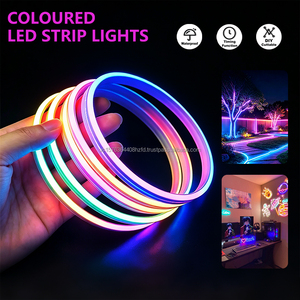 ไฟ LED แถบซิลิโคนกันน้ำสำหรับภายนอกอาคาร สีแฟนธอม ควบคุมด้วยรีโมทอัจฉริยะ ไฟนีออนตกแต่งสร้างบรรยากาศ 5v - Product Image 3