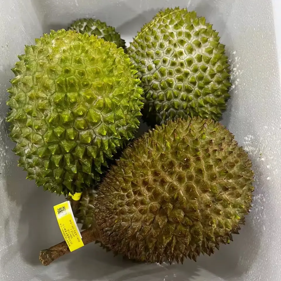 Malaysia Fruit Exporter Premium Fresh Musang King Durian D197