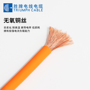 Triumph <b>Cable</b> Ev <b>Charging</b> <b>Cable</b> 2.5 4 6 10 16 25 35 50 Sq Mm Bare Copper Wire For Replace Repair - Product Image 5