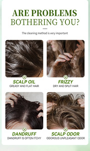 Shampoo à la menthe et au romarin pour lutter contre les pellicules, contrôler l'excès <span class=keywords><strong>de</strong></span> sébum et obtenir des cheveux doux et soyeux - Product Image 2