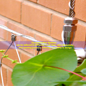 Enrejado de plantas, cuerda tejida, malla, férula de jardín botánico, <span class=keywords><strong>Red</strong></span> de Cable, pared verde, <span class=keywords><strong>red</strong></span> de cuerda de alambre de acero inoxidable - Product Image 6