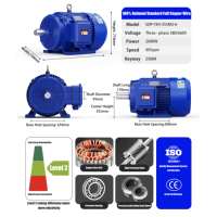 Moteur à induction triphasé en fonte IP55 200 kW pour décanteur