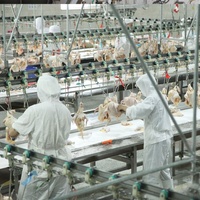 800-2000BPH Caille Automatique D'abattoir De Volaille Équipement D'abattoir