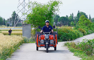 รถสามล้อบรรทุกไฟฟ้ากำลังสูง ราคาประหยัด แบบเปิดประทุน มอเตอร์ไร้แปรงถ่าน DC ความเร็ว 15-35 กม./ชม. สำหรับผู้ใหญ่ - Product Image 6