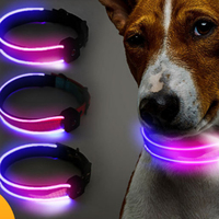 Collier pour chien LED personnalisé, rechargeable par USB, étanche, sécurité nocturne, clignotant, lumineux dans le noir, motif animal, ruban