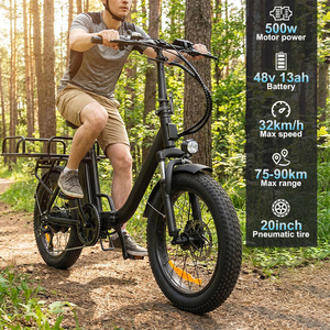 20" Fat Tire Electric Family Cargo Bike 48V Lithium Battery Hybrid Cargo Electric Bicycle with Rear Rack - Product Image 2