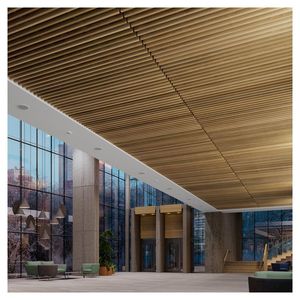 Plafond déflecteur en aluminium de haute qualité avec revêtement durable pour aéroports et plafonds de moyeux de transport - Product Image 2