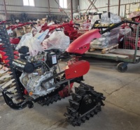 Landwirtschaftlicher 178F/8PS Dieselmotor Dreieckiger Erhöhter Doppelketten-Raupenfräser Mini-Raupentraktor Ackerfräsmaschine