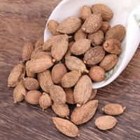 Groothandel Specerij Voor Voedingsproduct Enkele Kruiden Natuurlijke Hele Gedroogde Fructus Amomi Fruit Droge Amomum Tsao Zwarte Kardemom