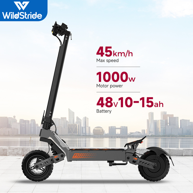 High Quality Electric Scooter E Scooter 48V 1000w Motor Top Powerful Electric Scooter for Adult