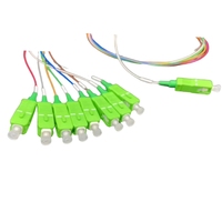 Boîtier terminal de répartiteur PLC à fibre optique FTTH 1x8/1x16 SC APC ABS Mini Box