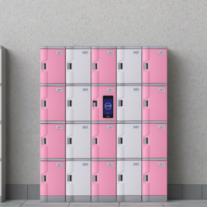 Casier à compartiments Toppla, électronique, à monnayeur, résistant aux intempéries, écologique, extérieur, en ABS, pour écoles, conception démontable brevetée - Product Image 2
