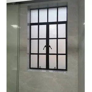 China levando fabricação alta qualidade aço Casement janela com Grill Design para vendas pode ser personalizado