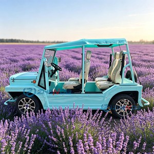 Voiture électrique de tourisme rétro bleu ciel 4 places, couleur personnalisée, faible bruit, pour les voyages en extérieur - Product Image 4