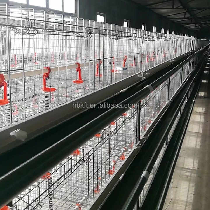 Professional Poultry Cage Chicken Battery Cages for Farm Galvanized ...