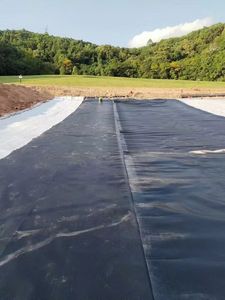 Géomembrane composite HDPE avec revêtement anti-infiltration en géotextile pour les décharges et les barrages - Product Image 3
