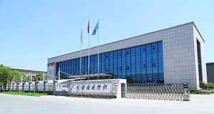 Sinovel 2025 Hot bán sản phẩm đa-màu sắc thiết kế Hà Lan nhung độc quyền New sofa vải bọc vải - Product Image 6