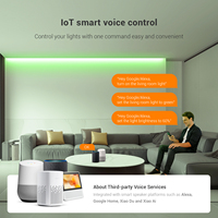Contrôleur LED intelligent IoT SP52AE SPI RGB CCT mini double mode avec contrôle vocal via application, synchronisation musicale filaire, 5 canaux, garantie 5 ans