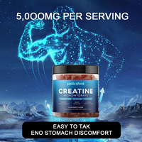 Gummies OEM de Créatine Monohydrate, Taurine et L-Carnitine 5000mg Sans Sucre Certifiées Naturelles – Complément Énergétique