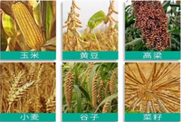 Décortiqueuse agricole multifonctionnelle pour maïs, riz, blé, haricots