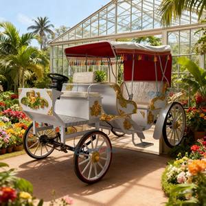 Precios Increíbles, Nuevo Diseño, Vehículo Eléctrico de Turismo de 4 Ruedas, Transporte Especial, Vehículo de Viaje, Vehículo Clásico de Turismo en Venta - Product Image 1