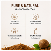 Huile essentielle de muscade 10 ml en gros, flacon roll-on, aromathérapie pure pour emballage de détail
