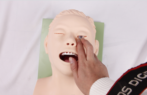 Manichino per Addestramento Adulti, Modello per Studio e Insegnamento dell'Intubazione, Trainer per Gestione delle Vie Aeree in PVC per Studenti di Scienze Mediche - Product Image 4