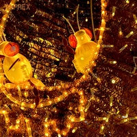 Luces LED de Jardín con Forma de Colmena de Abejas 3D para Exteriores, Toprex, Gran Venta, con Motivo de Abejas para Navidad, Halloween, Pascua, IP65 para Días Festivos
