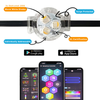 Fuente de Luz Puntual RGB WS2811 de 30 mm con Gema, DC24V IP68, Iluminación Exterior Permanente para Fachadas de Edificios, ¡Gran Oferta!