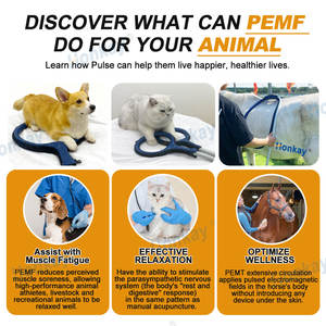 Appareil PEMF portable pour animaux pour favoriser une meilleure qualité de sommeil, soulager le stress physique et détendre les muscles tendus - Product Image 3