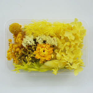 En vrac <span class=keywords><strong>pas</strong></span> <span class=keywords><strong>cher</strong></span> Eucalyptus <span class=keywords><strong>fleurs</strong></span> sèches bricolage boîte de fabrication de bougies <span class=keywords><strong>fleurs</strong></span> séchées multiformes pour l'obtention du diplôme saint valentin Halloween - Product Image 3