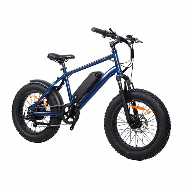 Golden Supplier Wholesale Price Fat Tire Ebike Disc Brakes Electric Bicycle
