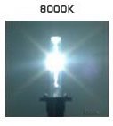 8000k