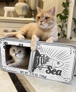 Grosir karton bergelombang dua lapisan mewah papan gores kucing ikan kaleng multifungsi mainan hewan peliharaan untuk karton Halloween - Product Image 2