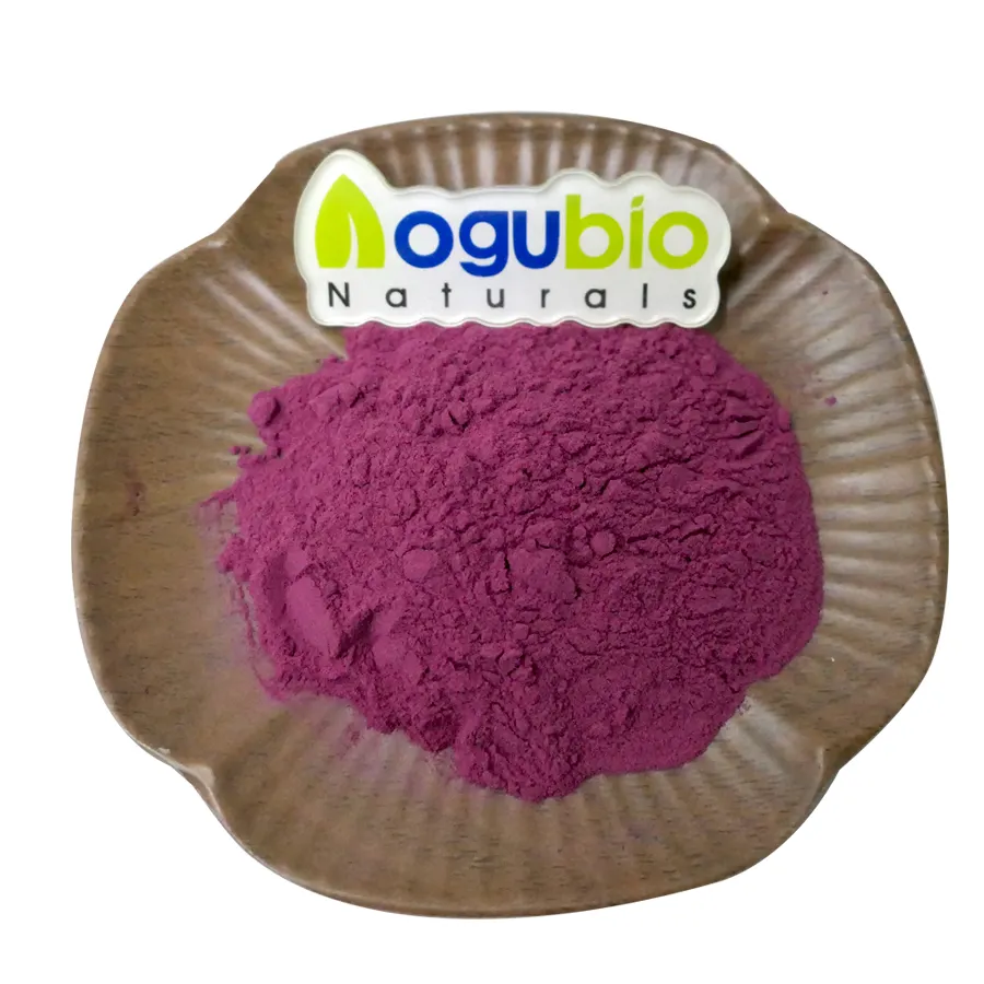Factory Supply Maqui Berry Powder Organic Maqui Berry Freeze Dry Powder Manufacturer Natural Maqui Extract