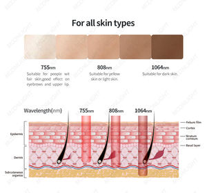 Meilleur équipement stationnaire de beauté de laser de diode de machine d'épilation et de rajeunissement de laser de LED - Product Image 3