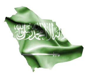 Saudi Shipping Jingdong <strong>Warehouse</strong> <strong>Deals</strong> Shipping to Saudi Arabia Ddp Sea Freight Fcl Shipping Agent From Shenzhen in - Product Image 1