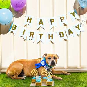 Adornos para Cupcakes con Forma de Pata de Perro Dorada, Decoraciones Brillantes para Cupcakes con Temática de Cachorros, Primer Cumpleaños, Baby Shower - Product Image 1