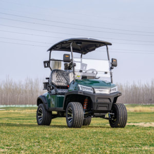 Voiturette de golf avec porte-bagages arrière et porte-gobelets, aménagement efficace, grande praticité pour les terrains de golf - Product Image 5