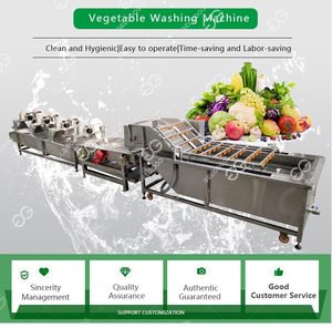 Machine de nettoyage de polissage de lavage de fruits de figue de barbarie Machine de lavage pour les fruits et les noix Machine de lavage et d'aspiration de légumes - Product Image 6