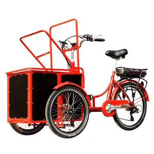 튼튼한 무거운 선적 화물 전기 자전거 3 바퀴 세발자전거 자전거 가족 trike 공장 도매 가격