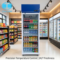 Réfrigérateur et congélateur OEM 388L, équipement de cuisine commerciale, armoire frigorifique pour restaurant, congélateurs pour la vente au détail