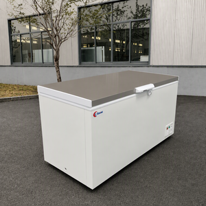 Congelador Comercial Horizontal de Gran Capacidad (152L-1000L) con Puerta Superior Abatible, Equipo de Refrigeración - Product Image 2