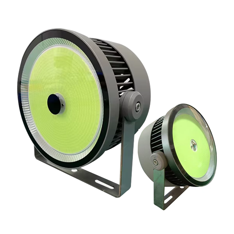 Outdoor Waterproof LED Lure Fish Light