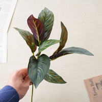 Feuilles de Calathea artificielles en PVC au toucher réaliste, verdure artificielle, feuilles tropicales à veines rouges en soie pour plantes d'intérieur et décoration florale de mariage
