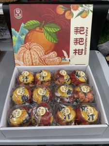 2024 Offre Spéciale nouvelle récolte succulente fraîche <span class=keywords><strong>Papa</strong></span> Mandarin <span class=keywords><strong>Orange</strong></span> Agrumes avec joli paquet - Product Image 5