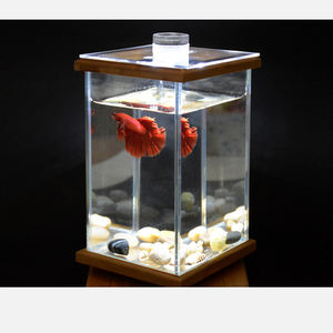 Mini Aquarium de poissons, pièces, art créatif, décoration pour la maison, en verre, blanc - Product Image 3